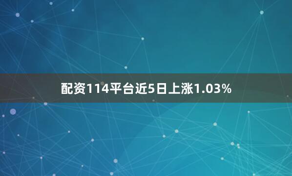 配资114平台近5日上涨1.03%